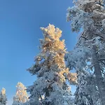 Pikku Karhu Villa *