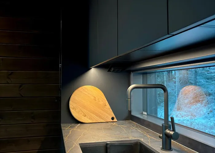 Pikku Karhu 库萨莫