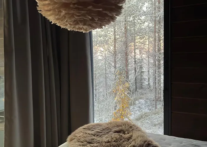 Pikku Karhu * 库萨莫