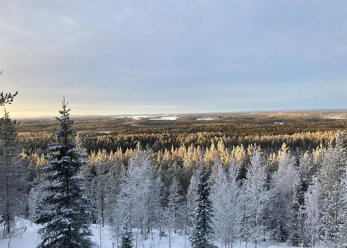 别墅 Pikku Karhu *